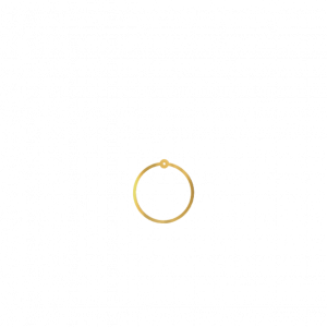 Bagstykke: Outline Circle (Gold colour - Polished)