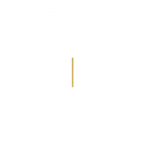 Forstykke: Line (Gold colour/Polished)